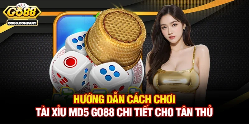 Hướng dẫn cách chơi Tài xỉu MD5 Go88 chi tiết cho tân thủ